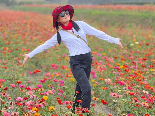 小百岳關刀山889m+銅鑼杭菊1924063