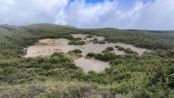合歡山北峰 小溪營地 鷹角石 合歡北峰名樹2915355