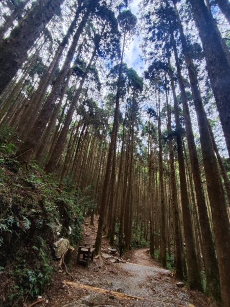 橫沙笛縱走2668679