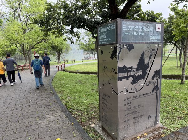 [樟之細路_第一大段RSA01] 2026_0329 三坑自然生態公園3026782