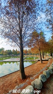 【南投名間】欣美創意園區~落羽松2968334