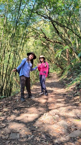 陽明山國家公園202503232743292