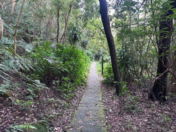 臺北大縱走第五段：捷運劍潭站至碧山巖2751306