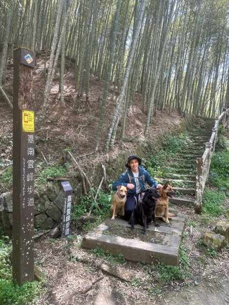 嘉南雲峰、九穹神木3014484