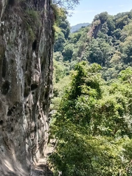 平溪區東勢格越嶺古道+孝子山步道(慈恩嶺+慈母峰)探花(艷紅鹿子百合)路線O型2848659