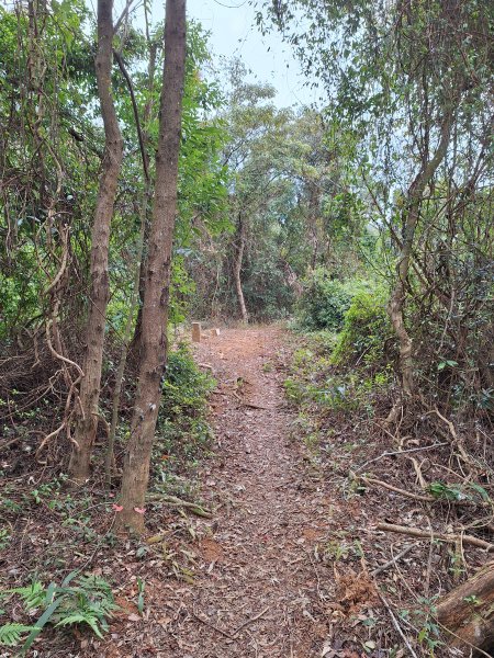 三段崎古道202401222696414