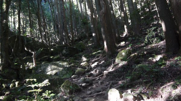 加里山登山健行趣(小百岳42)1527303