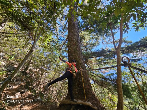 【谷關七雄】波津加(H1771.6m)肉腳配速成功2670443