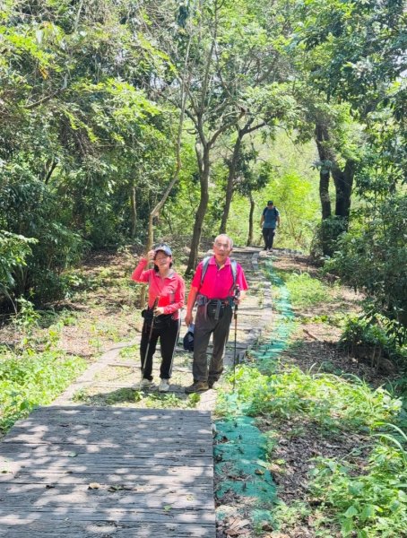 虎山岩區4條大嶺巷步道十二分埔山O繞逍遙輕鬆行3064052