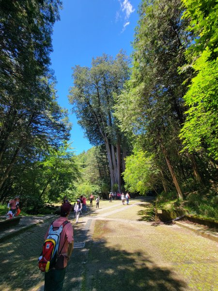 2026-0705-大雪山神木啞口健行3082575