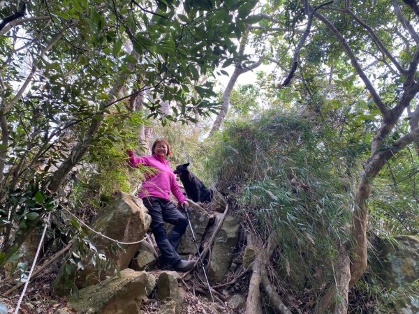 苗栗金童山、玉女山、汶水山2672902