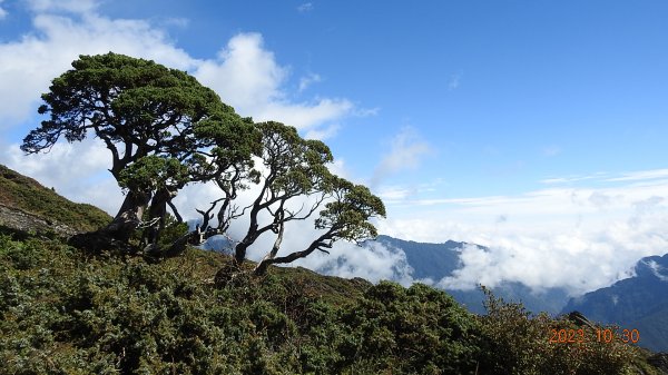 第八次合歡山主/東/北峰單攻-雲海/觀音圈&日出火燒雲/夕陽火燒雲2332205