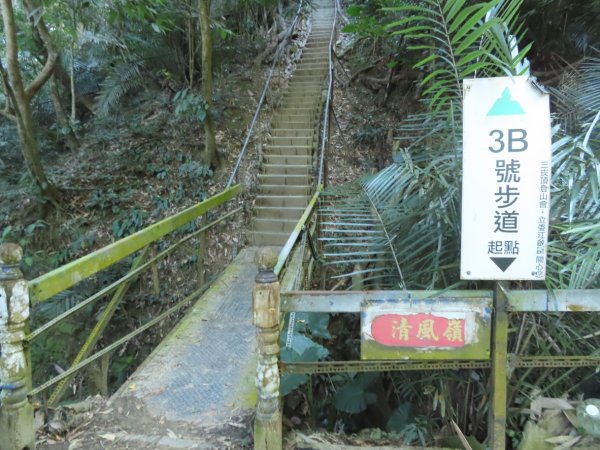 豐原三崁頂健康步道3上2下O形2696139