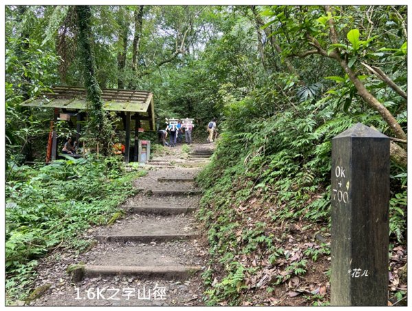 聖母峰、三角崙山 (抹茶山) 連走2802208