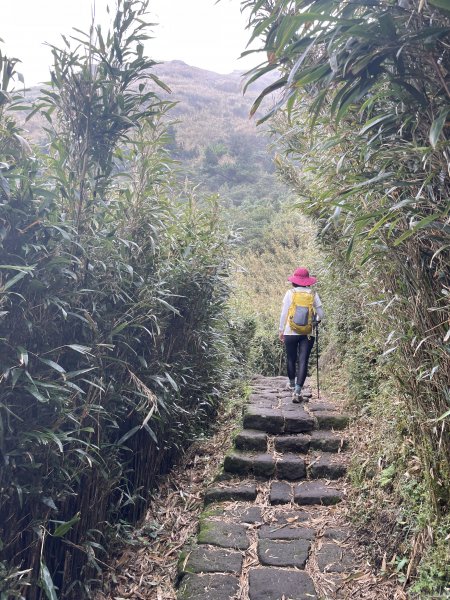 好天氣不爬山要幹嘛！？縱走七星山主東峰 遇見絕美秋芒1910186