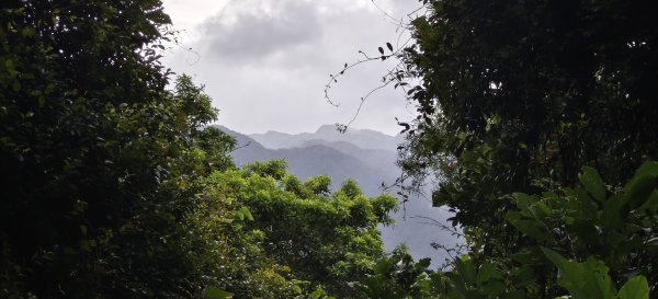 2025/07/19-大艽芎古道上溪洲山O型2841550