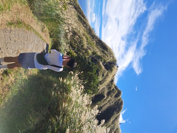 小百岳集起來大屯主峰，七星峰主峰，東峰步道3135733