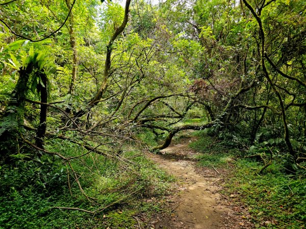 淡蘭中路第四段：威惠廟至灣潭古道登山口(崩山坑線)2882723