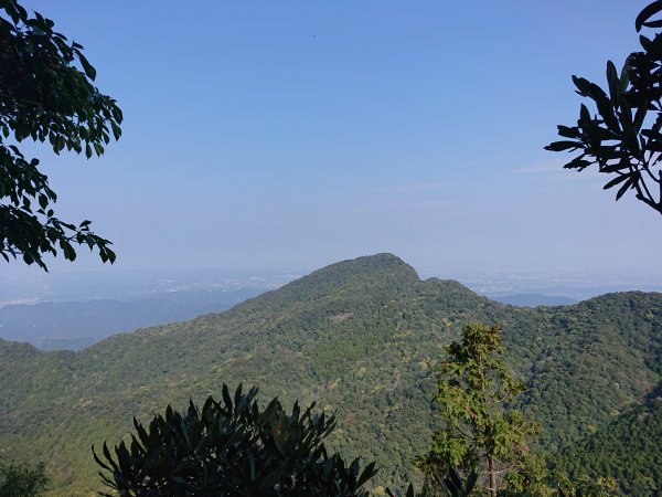 水田林道上貴妃山-鞍部石猴-那結山O型走1307502