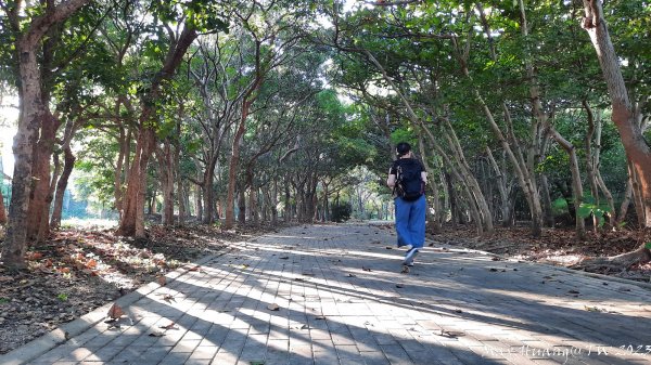 《台中》午後斜陽｜中科東大公園步道202311042336961