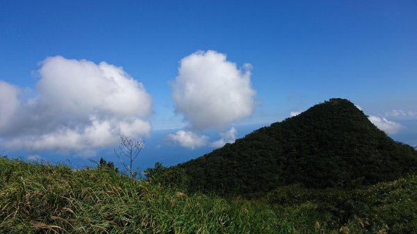 鶯子頂山與鶯子嶺趴趴走417535