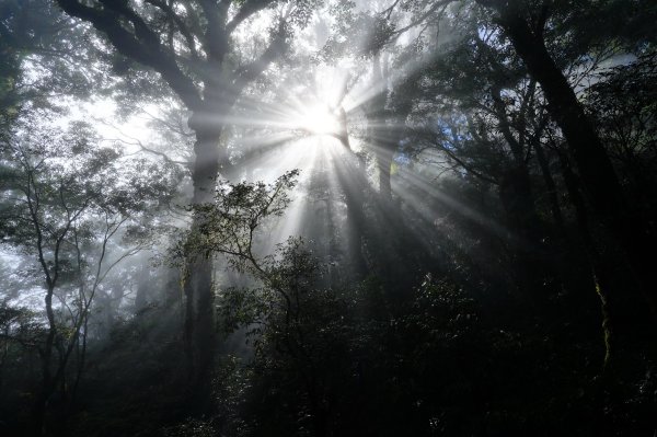 新北 烏來 塔曼山3119498