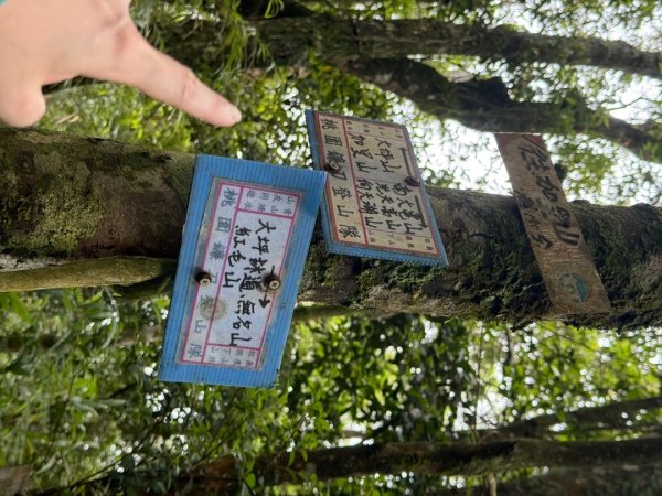 20250607 春谷養鱒場所上加里山 出大坪2805212