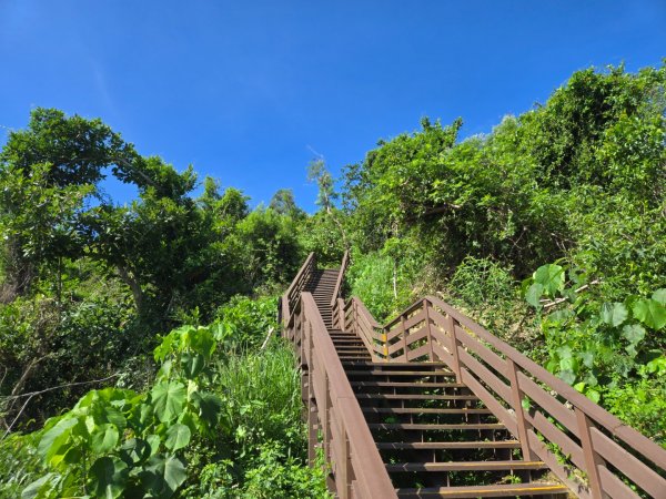 南壽山步道2805675