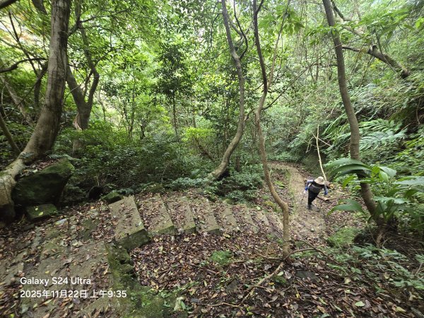 2025-11-22微笑山線：【五分山系】平溪小黃山段2943289