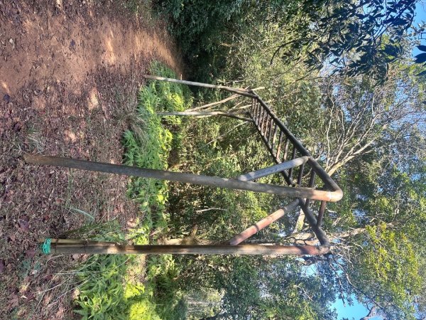 新竹新埔-蓮華山古道2628616