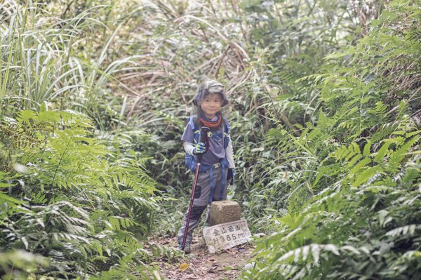 鳥嘴含煙-桃園大溪金面山1463098