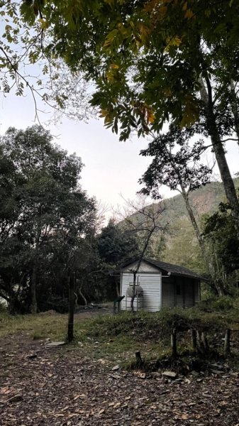 對關追龍貓🚌1970018