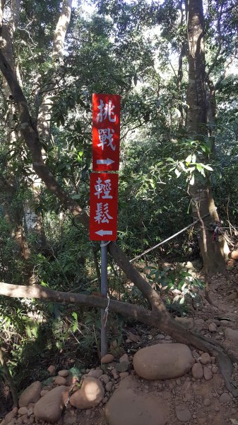 阿興阿賢火炎山步道616552