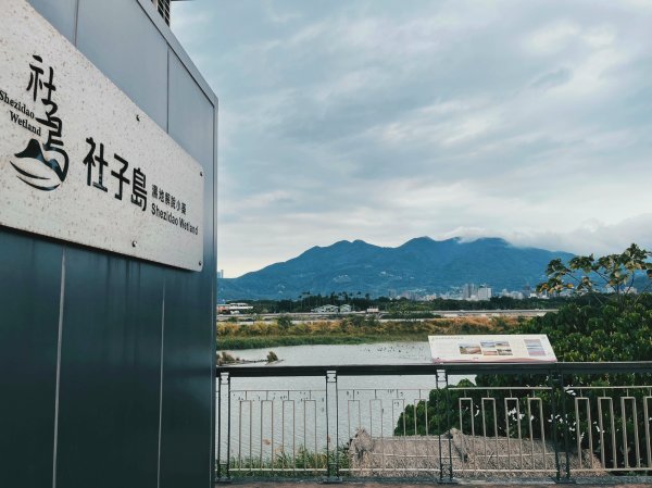 2023 臺北大縱走 8：捷運關渡站至華江雁鴨自然公園(上)2079504