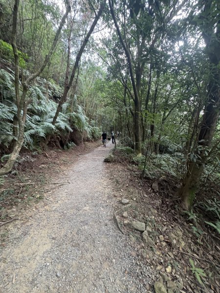 2025.10.12.碧溪_長壽坡_翠山步道2911521