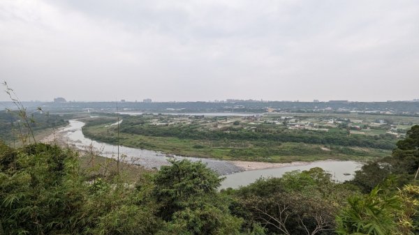 112.04.04王公坑山-烏塗窟山之開滿血藤花2120579