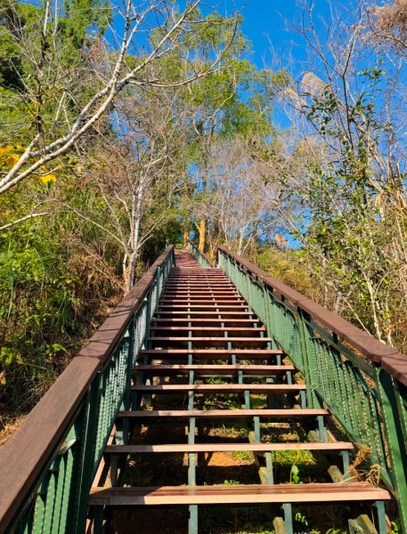 金龍山看山嵐風情2679534