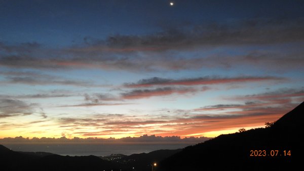 雲山水花鳥蝶 - 天龍國阿伯的日常，沒鳥也沒蝶槓龜 7/14&172217414