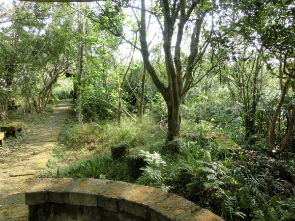 大崙頭尾山92926