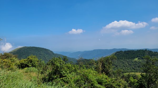 陽明山國家公園-風櫃嘴、石梯嶺、擎天崗1484103