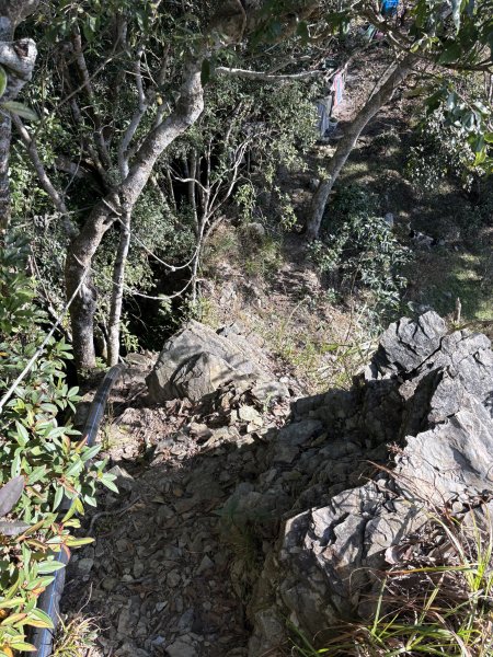 20251207藤枝山步道2957628