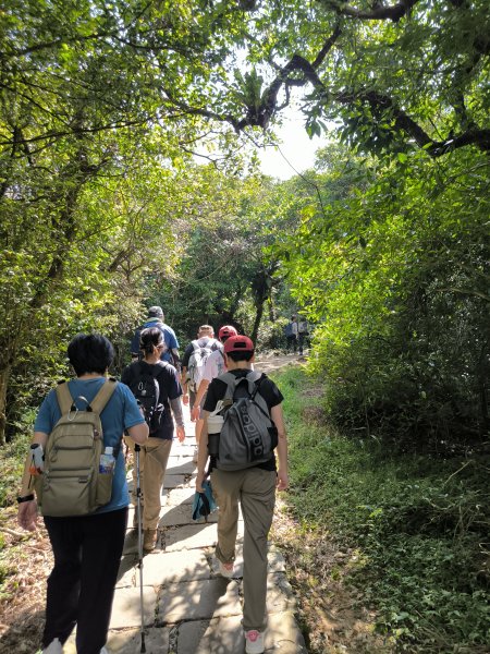 20251108草嶺古道2936115