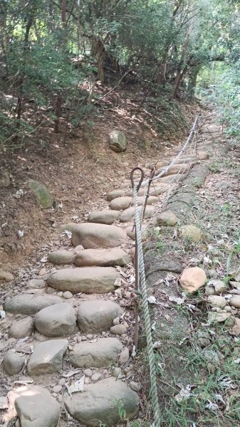 20251018 三義火炎山 南鞍古道 O型2920406