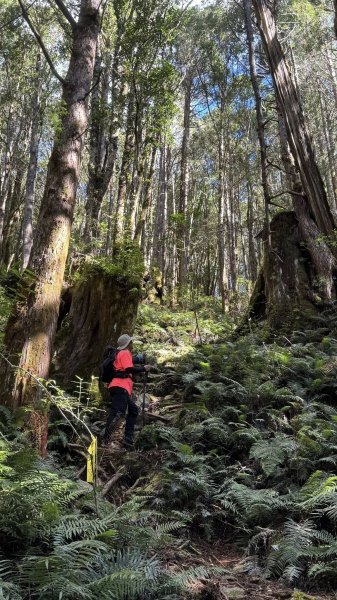 20250913小百岳三星山2885244