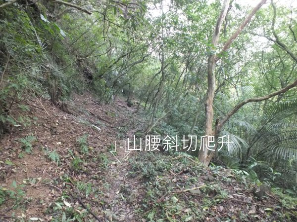百二階古道+苕谷瀑布+逸仙山+泰和樓2734430