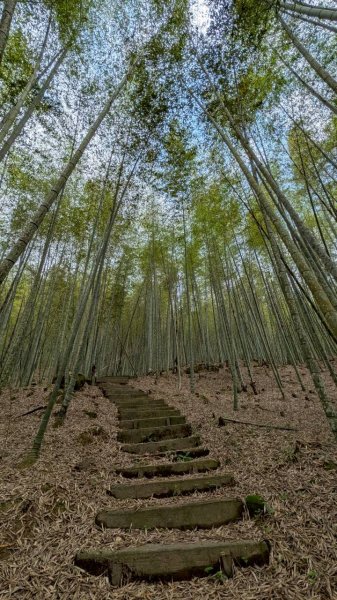 嘉南雲峰、石壁山步道3049090