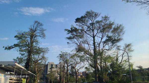 2025-0211造鎮_太極嶺_五城山小段攀爬路線2710714