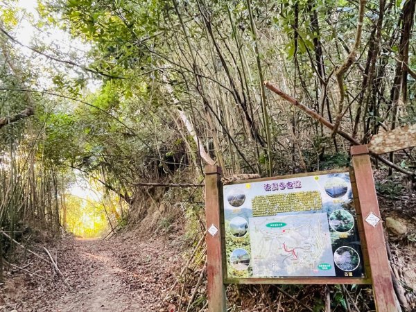 1141207金童山2957737