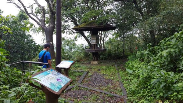 小百岳NO.14 深坑土庫岳。更寮古道 山豬窟尖，小南港山，南港山水綠生態公園2257360