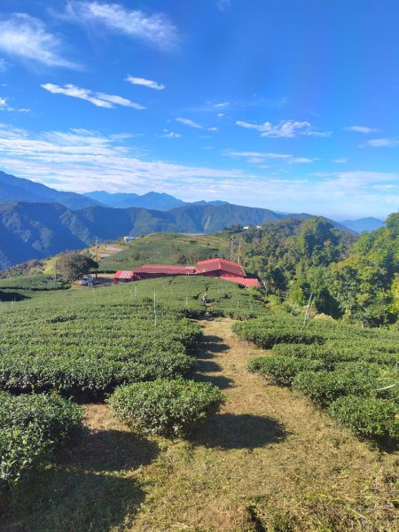 南東眼山連走有勝山2918722